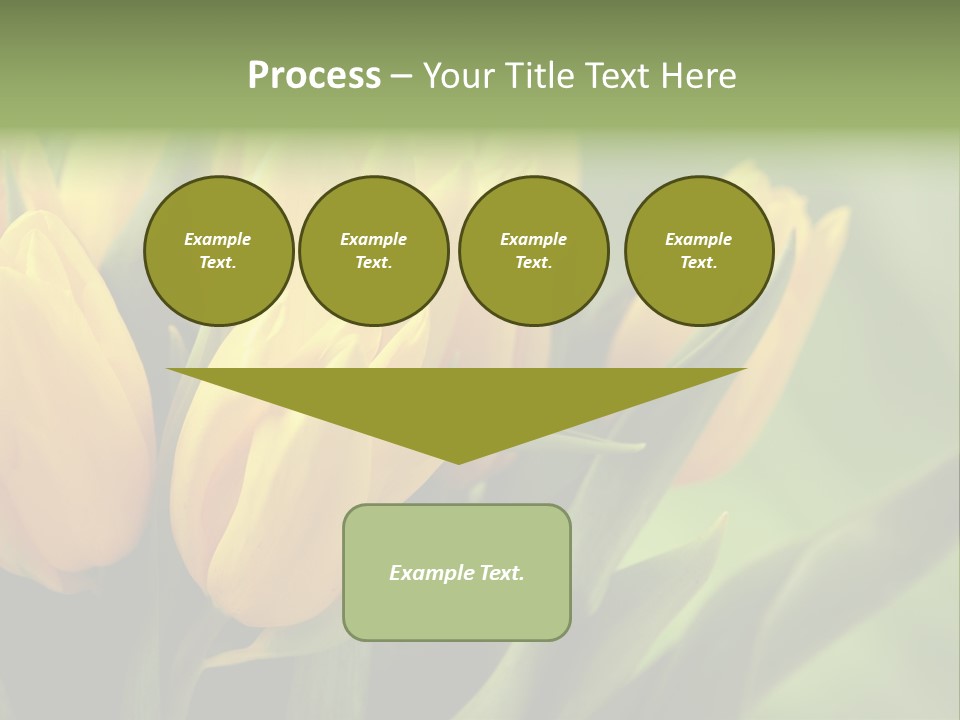 Colourful Bulbs Yellow PowerPoint Template