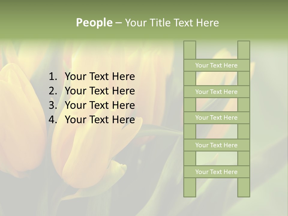 Colourful Bulbs Yellow PowerPoint Template