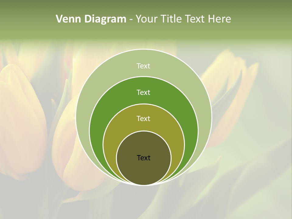 Colourful Bulbs Yellow PowerPoint Template