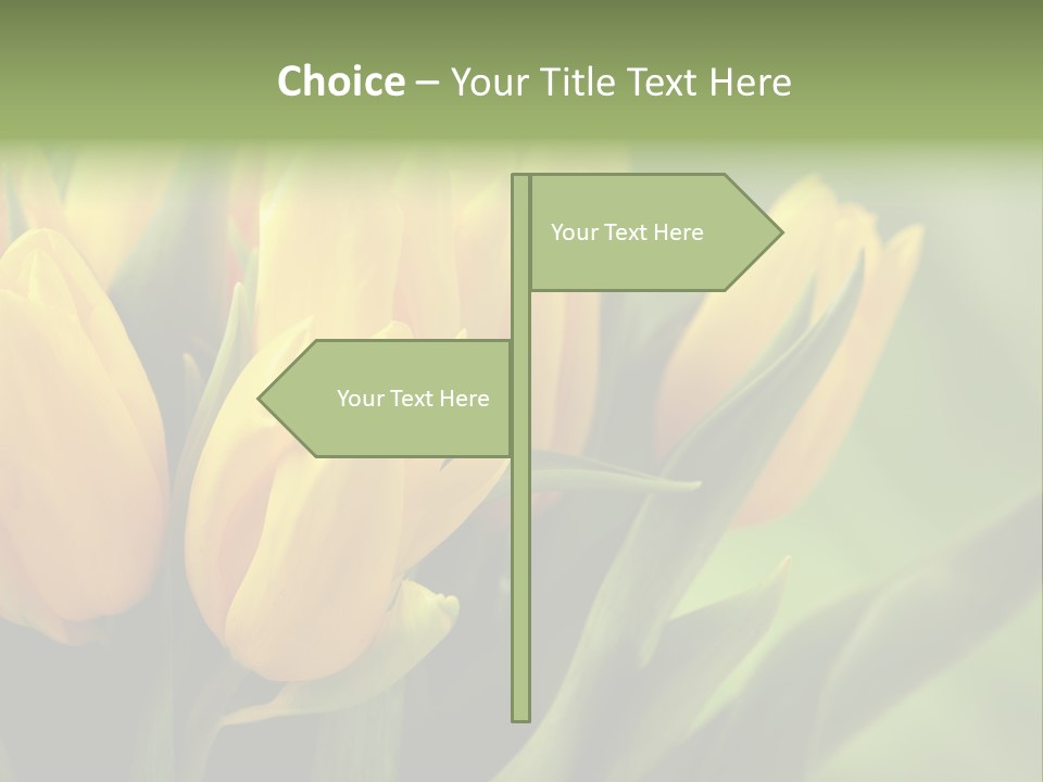 Colourful Bulbs Yellow PowerPoint Template