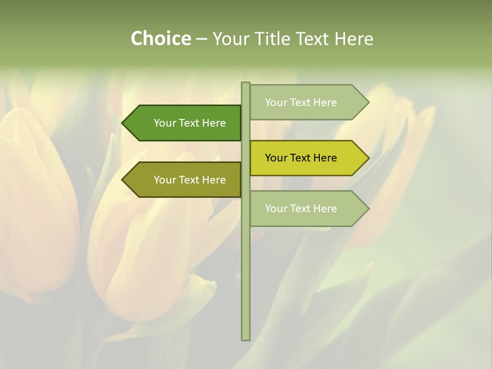 Colourful Bulbs Yellow PowerPoint Template