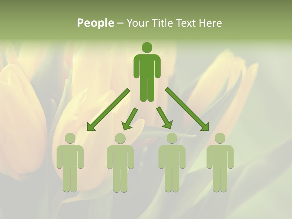 Colourful Bulbs Yellow PowerPoint Template