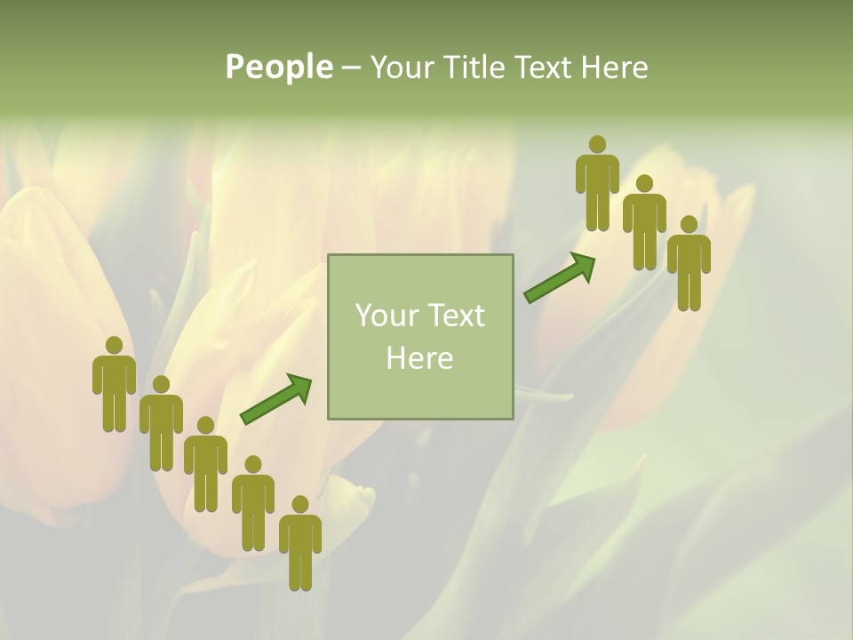 Colourful Bulbs Yellow PowerPoint Template