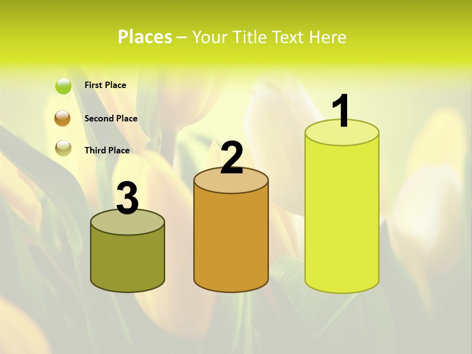 Nobody Organic Love PowerPoint Template