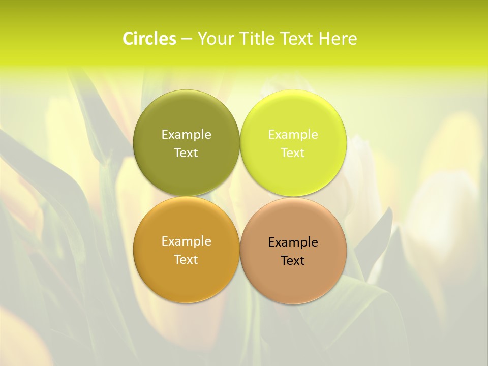 Nobody Organic Love PowerPoint Template