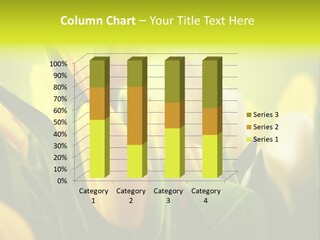 Nobody Organic Love PowerPoint Template