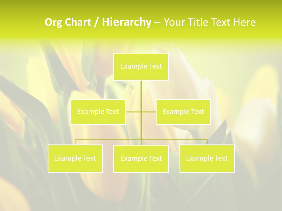 Nobody Organic Love PowerPoint Template