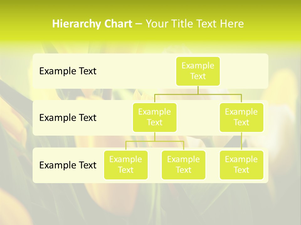 Nobody Organic Love PowerPoint Template