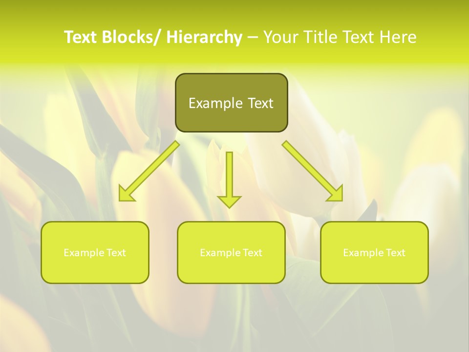 Nobody Organic Love PowerPoint Template