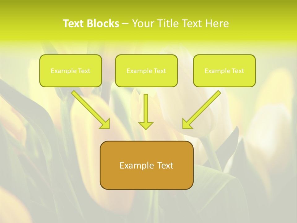 Nobody Organic Love PowerPoint Template