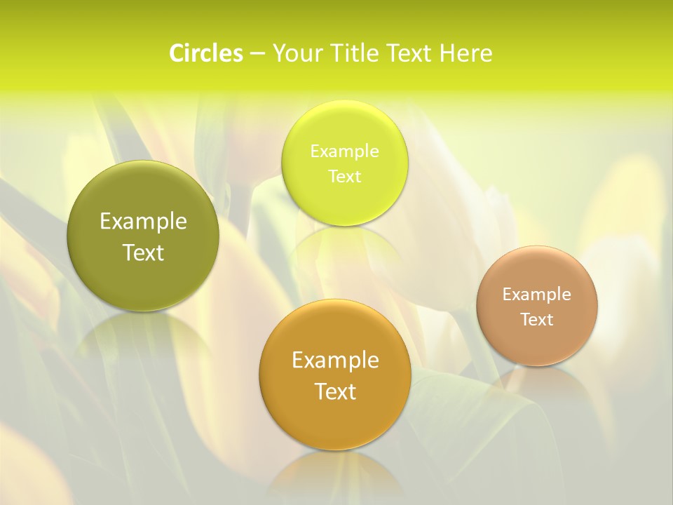 Nobody Organic Love PowerPoint Template