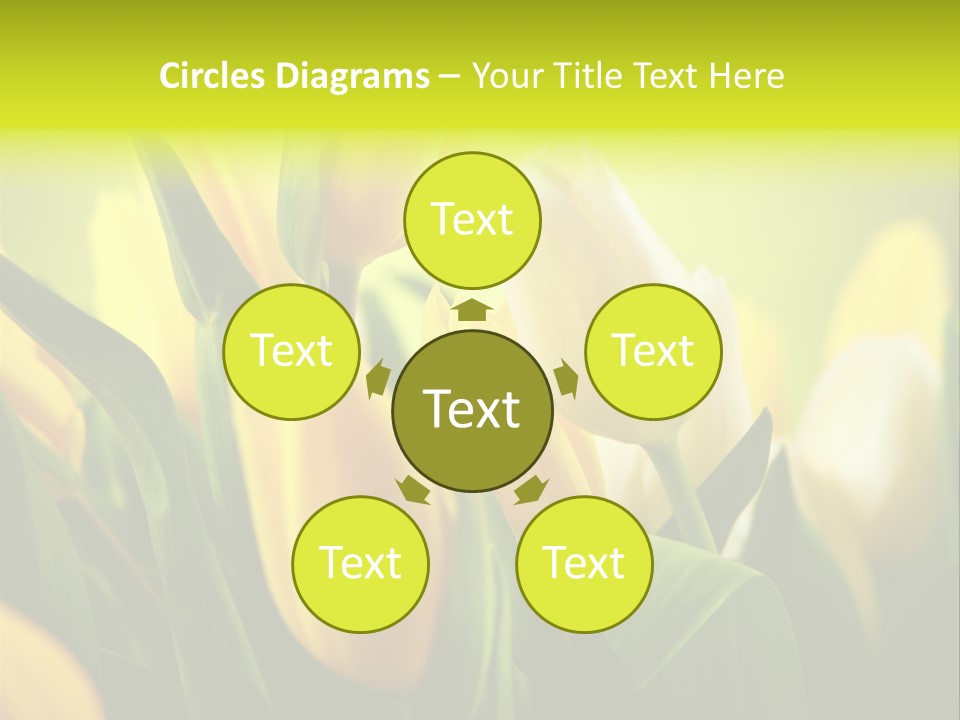 Nobody Organic Love PowerPoint Template