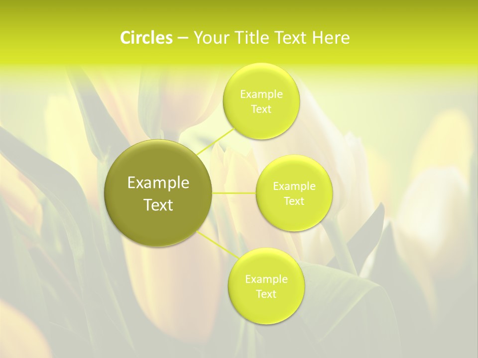 Nobody Organic Love PowerPoint Template