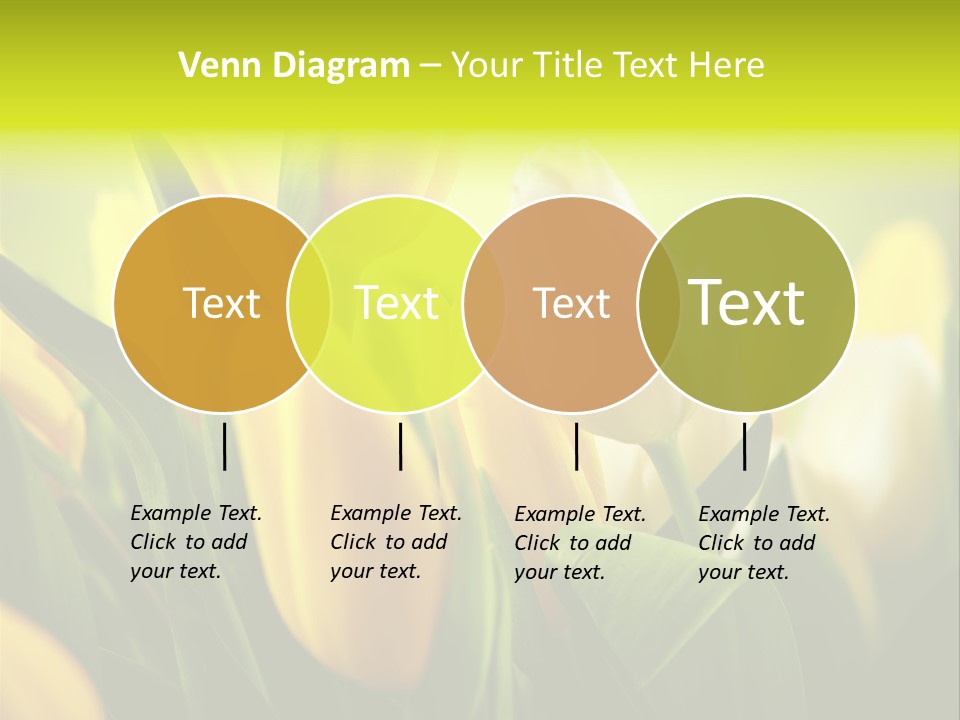 Nobody Organic Love PowerPoint Template