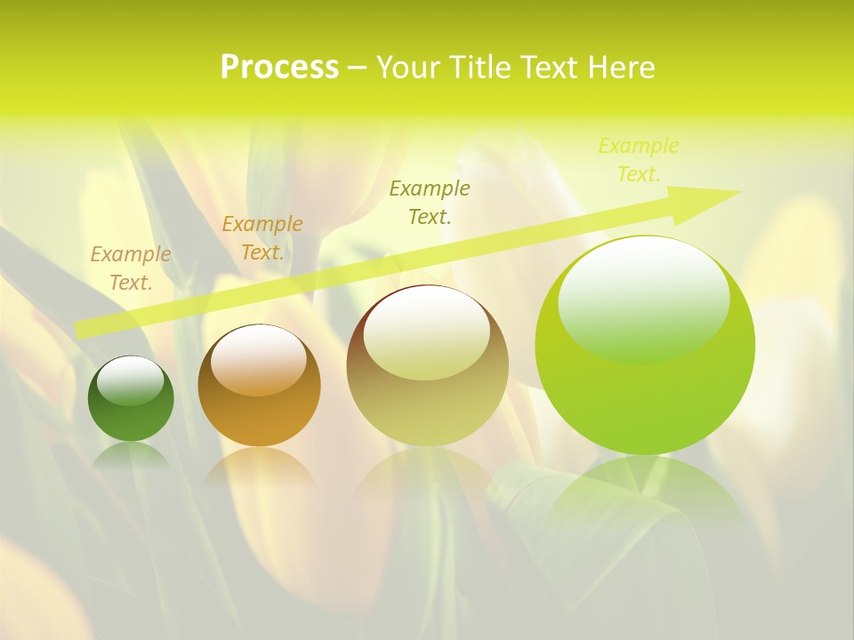 Nobody Organic Love PowerPoint Template