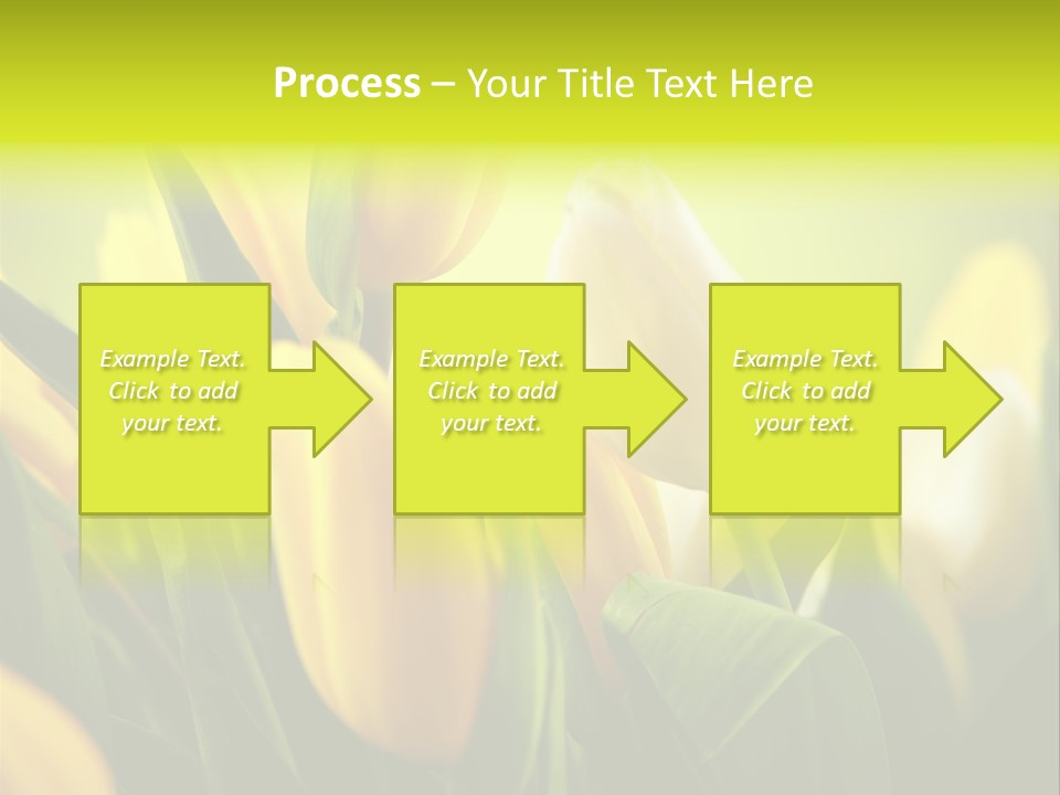 Nobody Organic Love PowerPoint Template