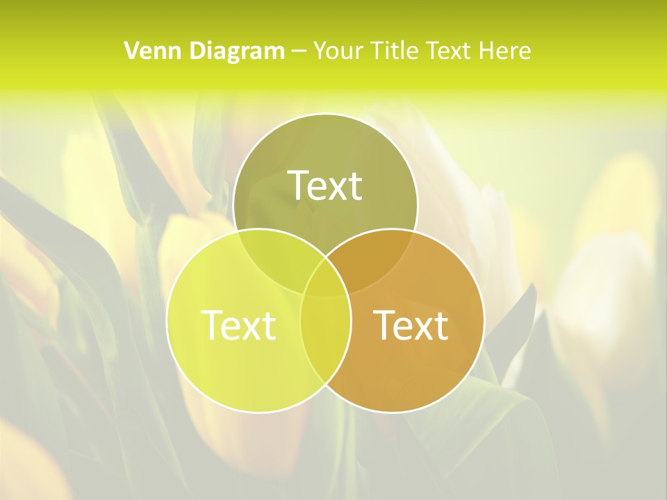 Nobody Organic Love PowerPoint Template