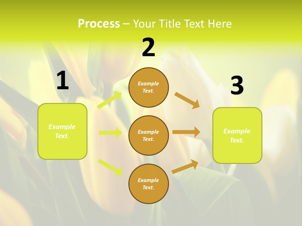 Nobody Organic Love PowerPoint Template