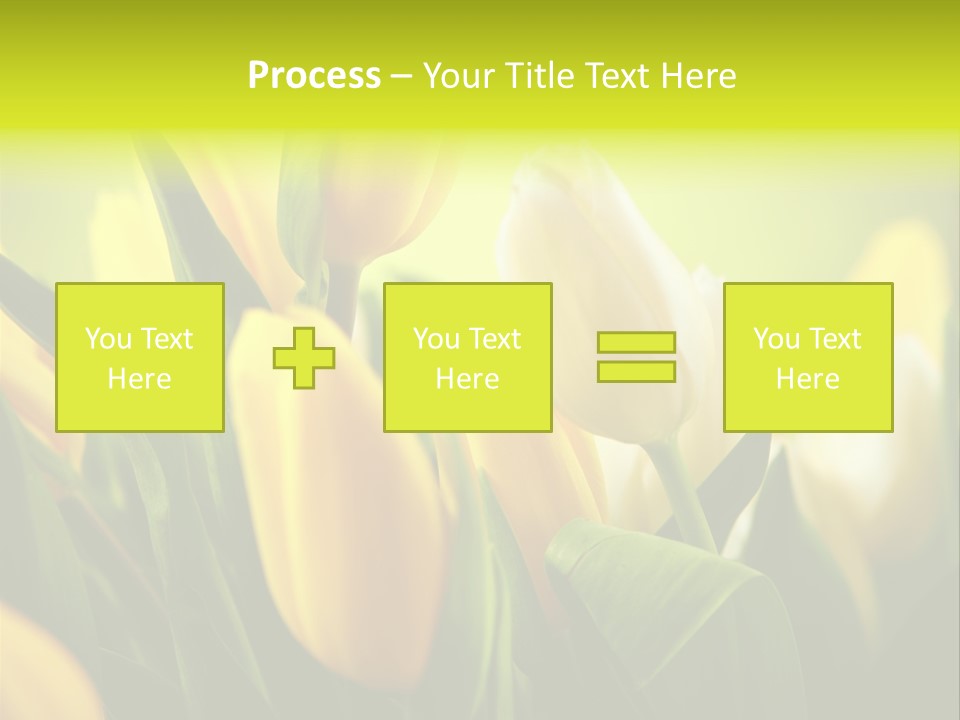 Nobody Organic Love PowerPoint Template