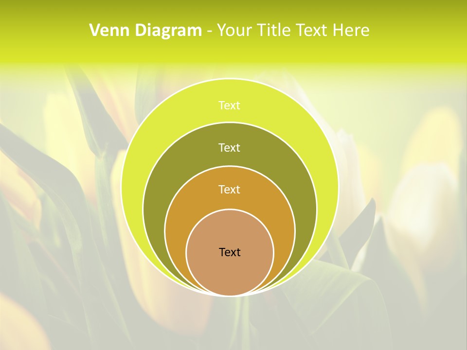Nobody Organic Love PowerPoint Template