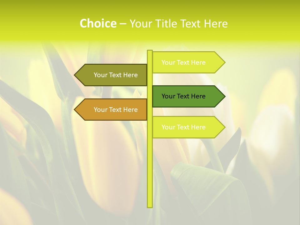 Nobody Organic Love PowerPoint Template