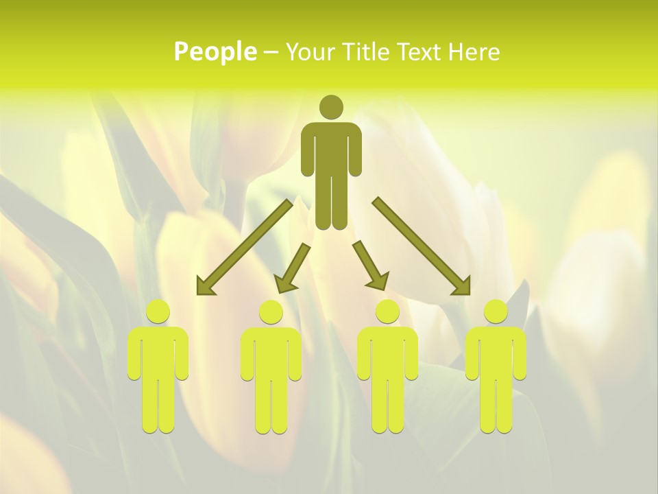 Nobody Organic Love PowerPoint Template