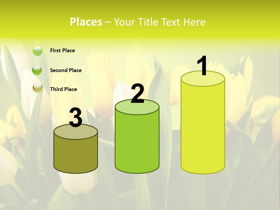 Celebration Isolated Natural PowerPoint Template