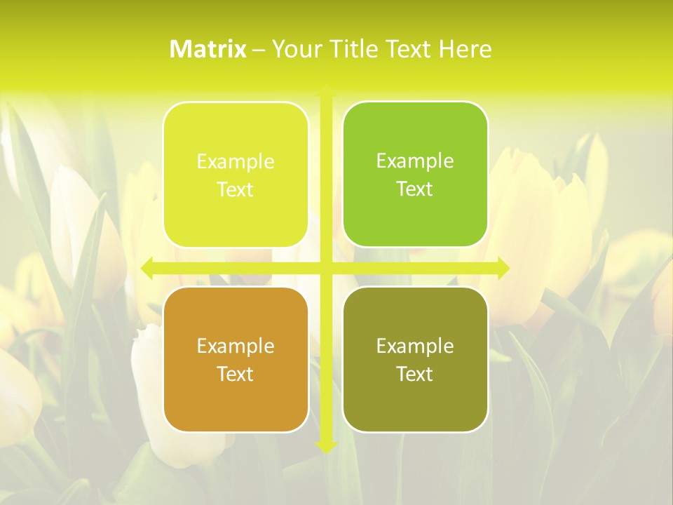 Celebration Isolated Natural PowerPoint Template