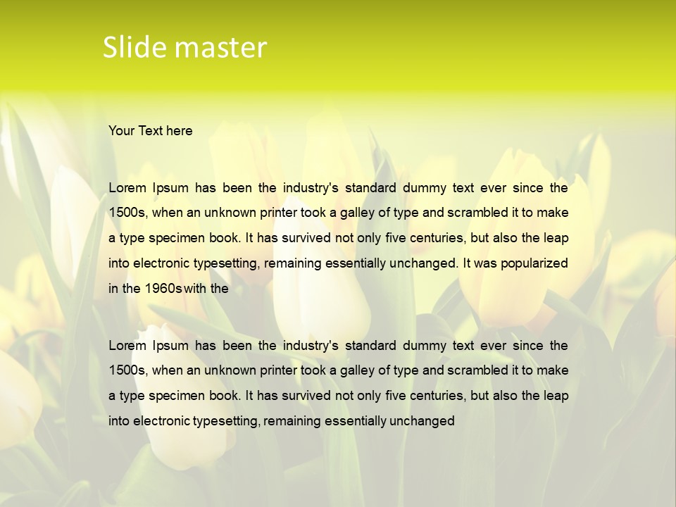 Celebration Isolated Natural PowerPoint Template