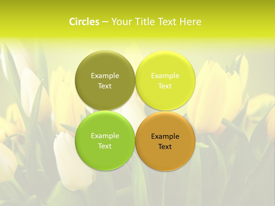 Celebration Isolated Natural PowerPoint Template