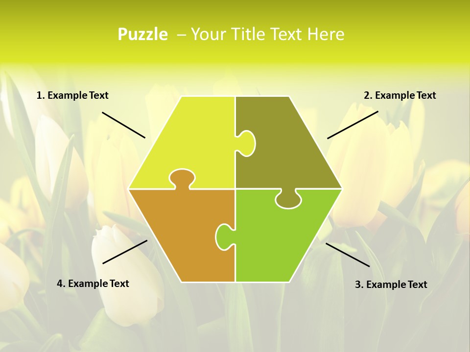 Celebration Isolated Natural PowerPoint Template