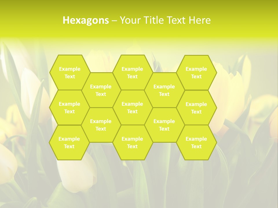 Celebration Isolated Natural PowerPoint Template