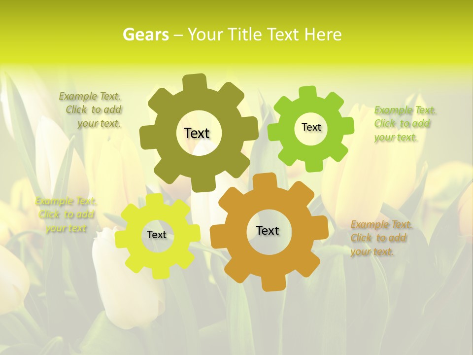 Celebration Isolated Natural PowerPoint Template