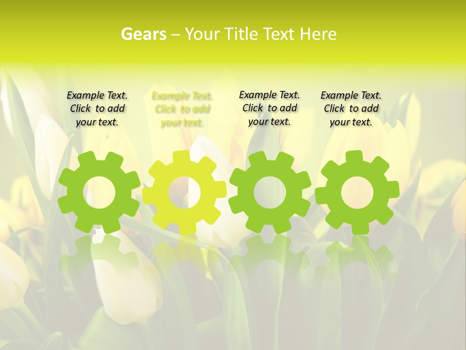 Celebration Isolated Natural PowerPoint Template