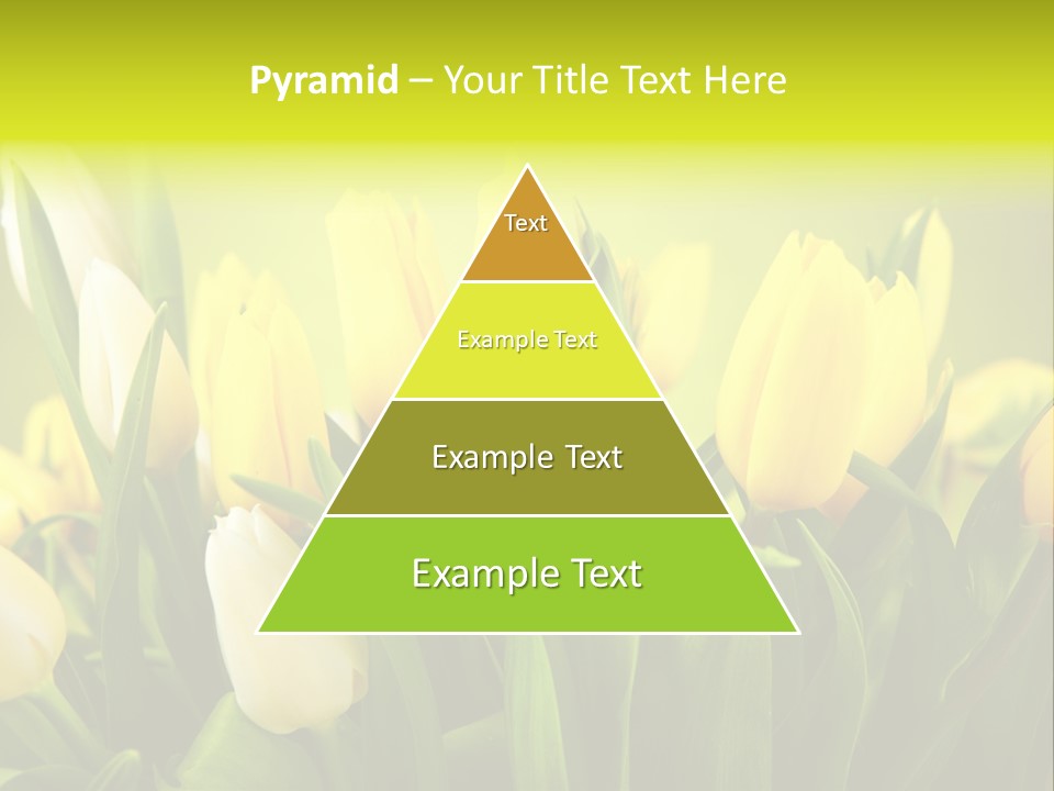 Celebration Isolated Natural PowerPoint Template