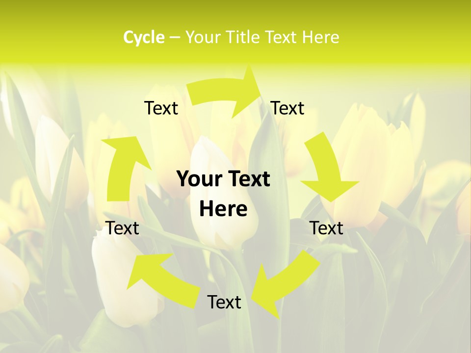 Celebration Isolated Natural PowerPoint Template