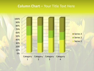 Celebration Isolated Natural PowerPoint Template