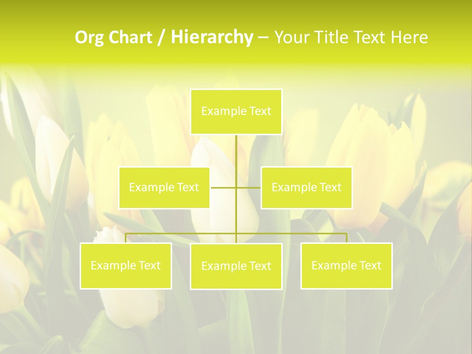 Celebration Isolated Natural PowerPoint Template