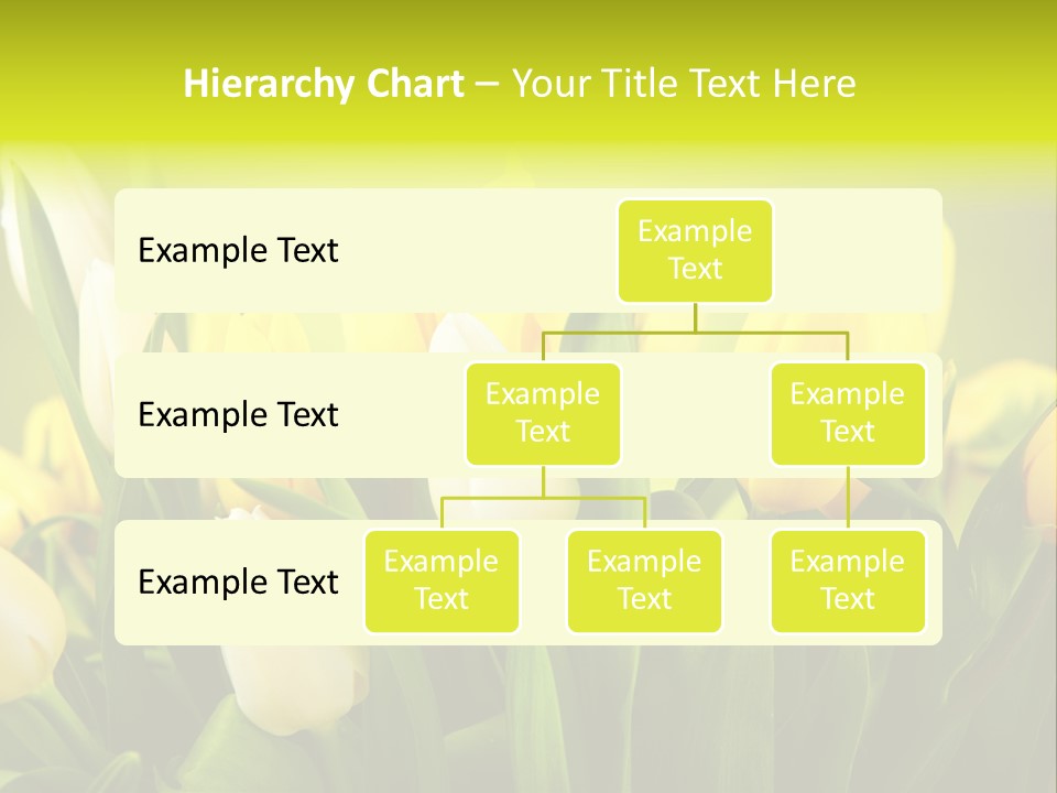 Celebration Isolated Natural PowerPoint Template