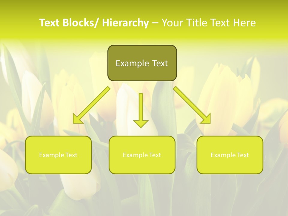 Celebration Isolated Natural PowerPoint Template