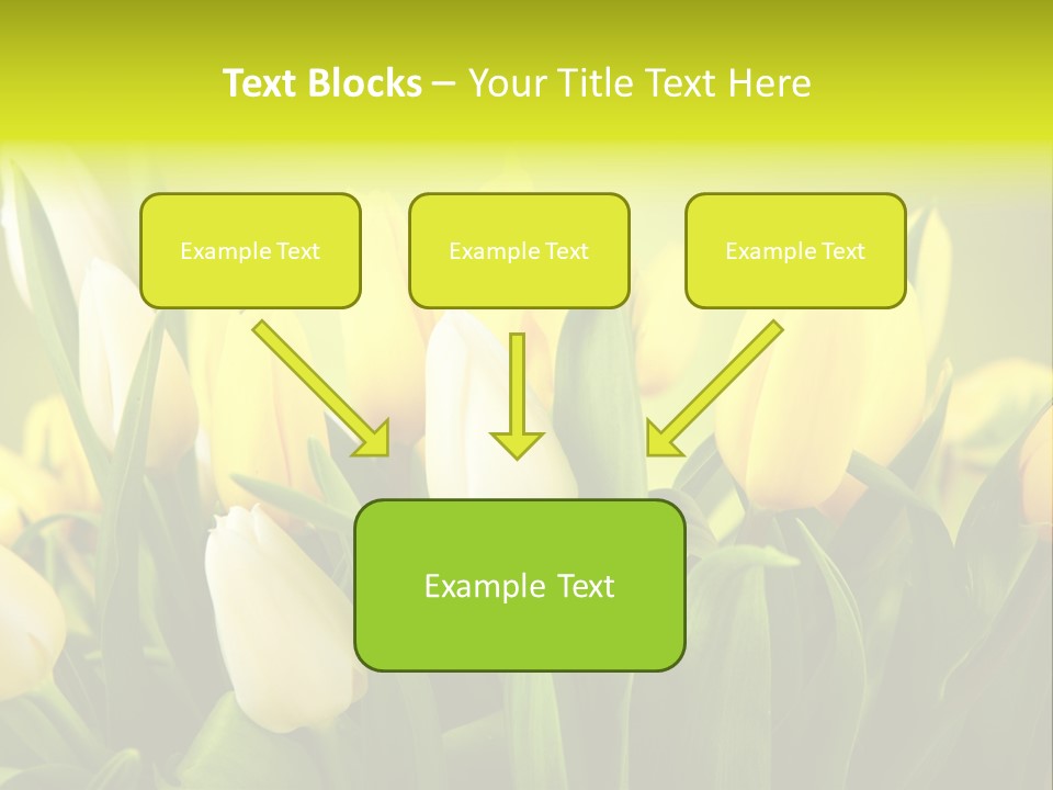 Celebration Isolated Natural PowerPoint Template