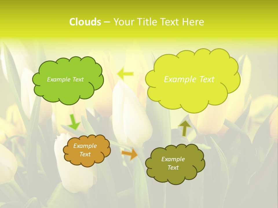 Celebration Isolated Natural PowerPoint Template