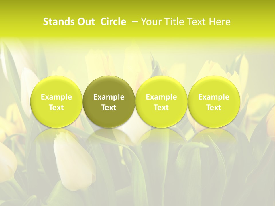 Celebration Isolated Natural PowerPoint Template