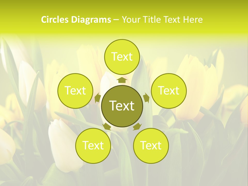 Celebration Isolated Natural PowerPoint Template