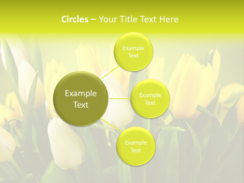 Celebration Isolated Natural PowerPoint Template