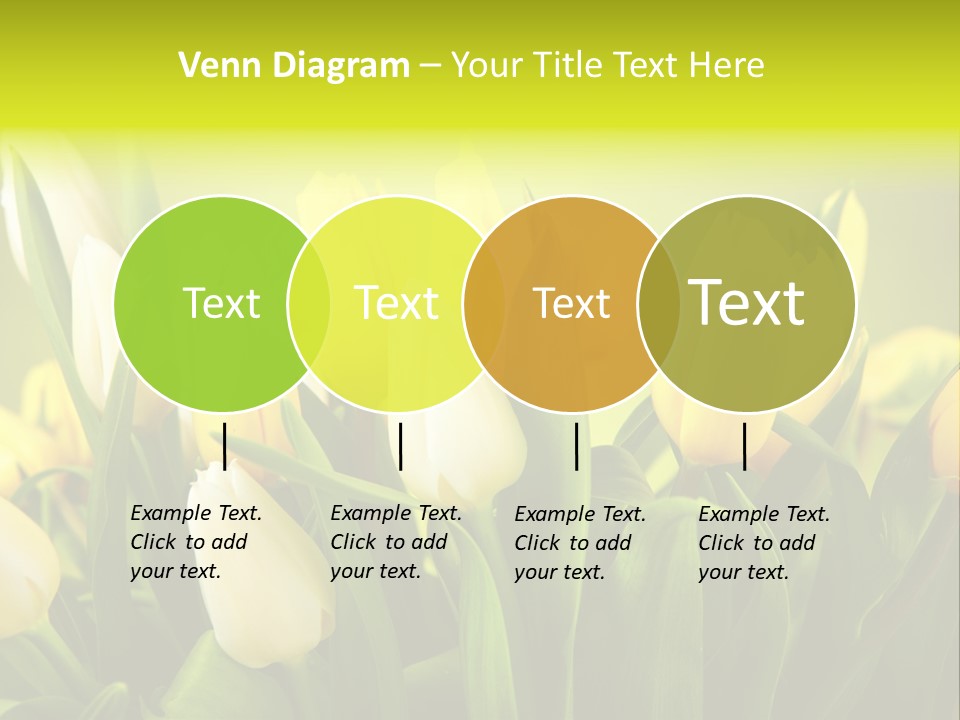 Celebration Isolated Natural PowerPoint Template