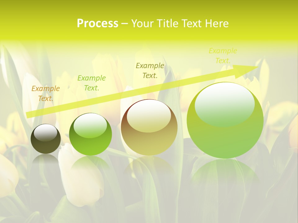 Celebration Isolated Natural PowerPoint Template