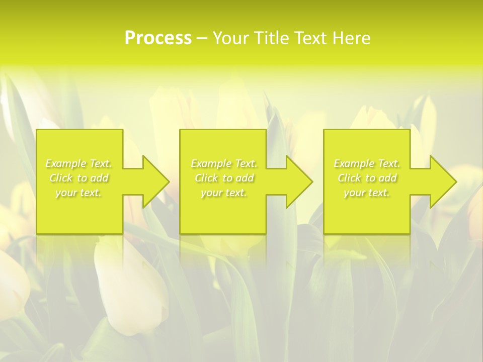 Celebration Isolated Natural PowerPoint Template