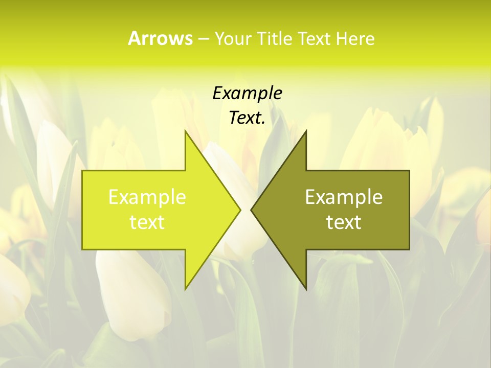 Celebration Isolated Natural PowerPoint Template