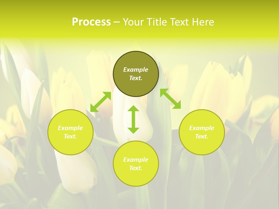 Celebration Isolated Natural PowerPoint Template